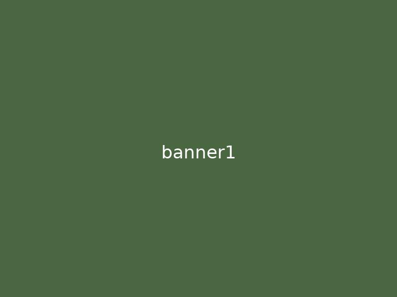 艺途文化 Banner