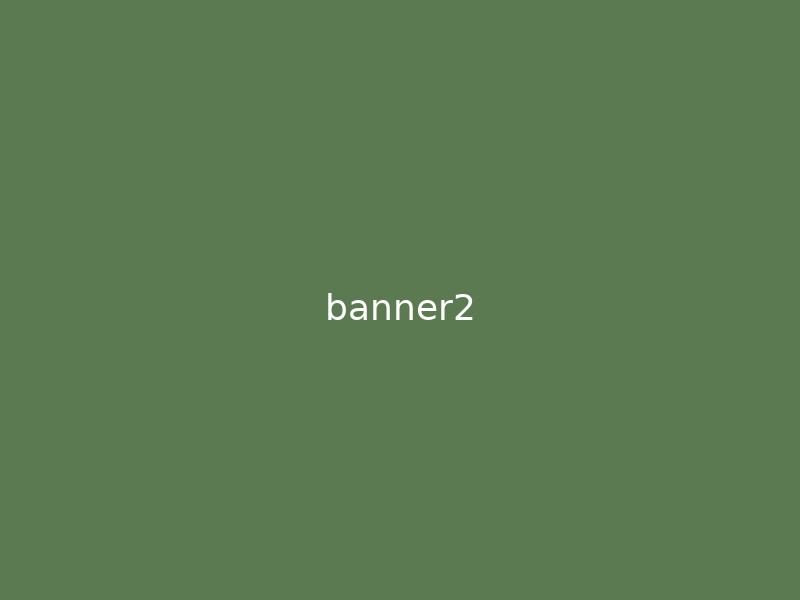 基础服务 Banner