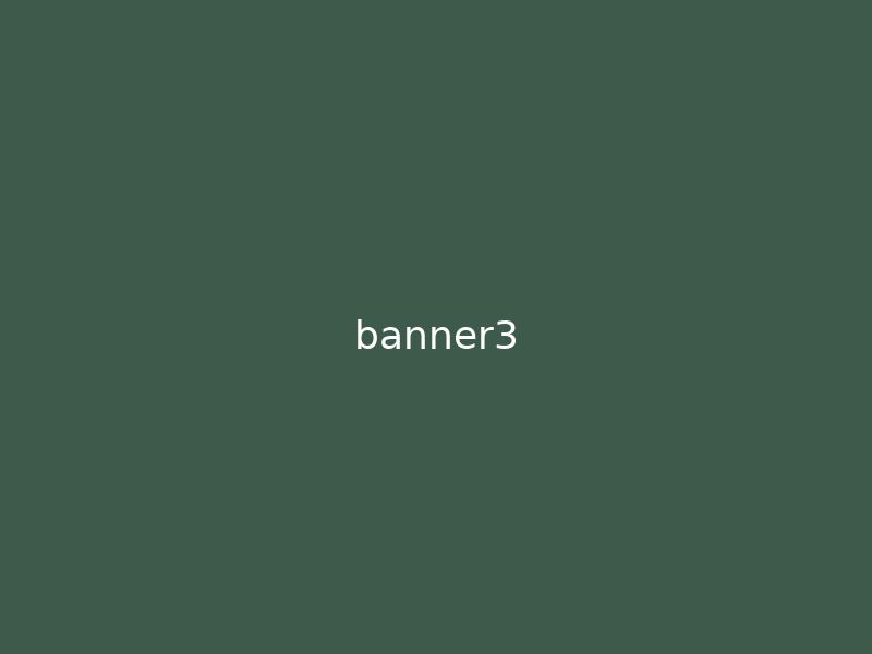 特色服务 Banner